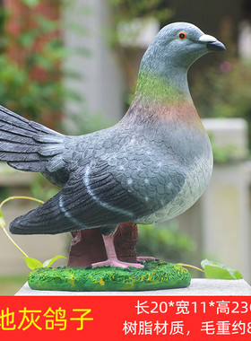仿真白鸽子工艺品模型创意装饰
