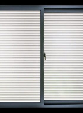 WindowFilmrostePvacyS