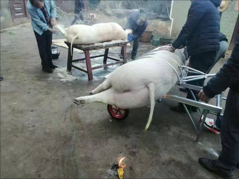 加厚杀猪神器吊篮式移动式猪肉屠宰猪固定家用神器设备杀年猪架子,淘宝优惠券,粉丝福利购,淘宝优惠卷