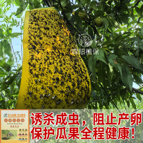英格尔实蝇粘胶板黄板粘虫板诱虫板贴纸飞虫沾果蝇诱捕器果园苍蝇 - 图0