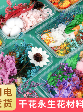永生花材料包diy相框贴画团扇