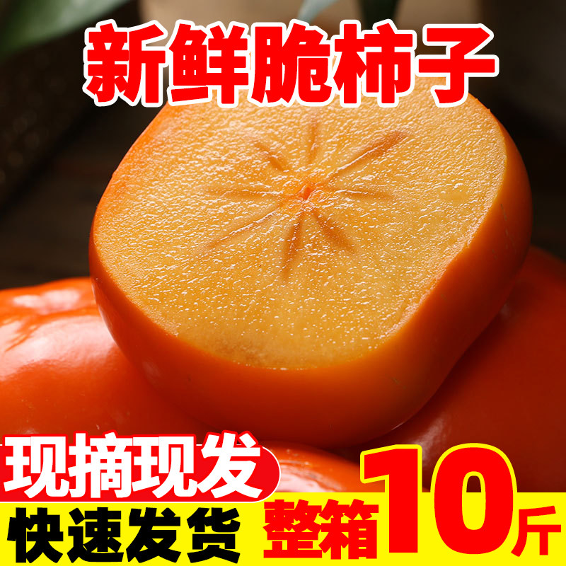 广西巧克力脆柿子新鲜水果脆皮柿子甜柿子冰糖心当季水果整箱包邮,淘宝优惠券,粉丝福利购,淘宝优惠卷