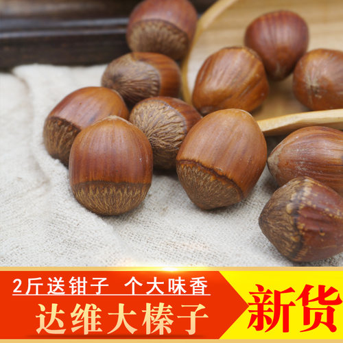 东北达维大榛子新货原味大榛子薄壳炒熟榛子坚果零食500g包邮 - 图0