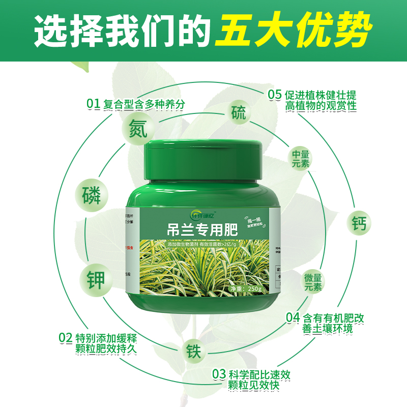 吊兰专用肥料营养液有机肥金边花肥家用盆栽通用型花卉植物绿植用 - 图1