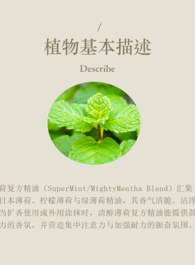 多特瑞 清醇薄荷复方精油15ml官网doterra正品滋养皮肤涂抹保湿
