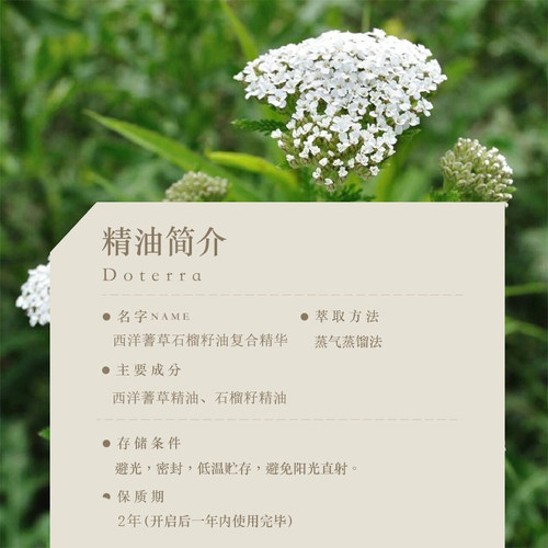 多特瑞西洋蓍草石榴籽复合精油15ml官网doterra正品皮肤涂抹保湿 - 图0