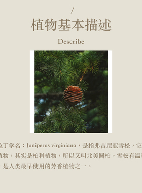 多特瑞 雪松单方精油15ml官网doterra正品按摩滋养皮肤涂抹保湿