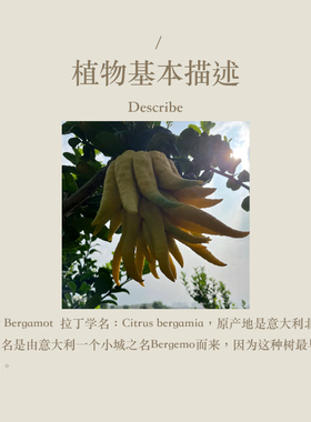 多特瑞佛手柑单方精油15ml