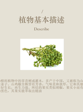 多特瑞 山鸡椒单方精油15ml官网doterra正品按摩滋养皮肤涂抹保湿