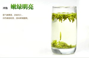 新茶 2020 四川雀舌绿茶茶叶春茶明前蒲江雀舌嘉竹茶 叶青绿茶叶