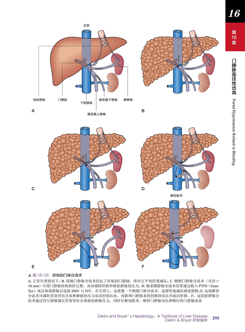 现货Zakim&Boyer肝脏病学:原书第7版中国科学技术出版社肝疾病诊疗9787504682918-图2