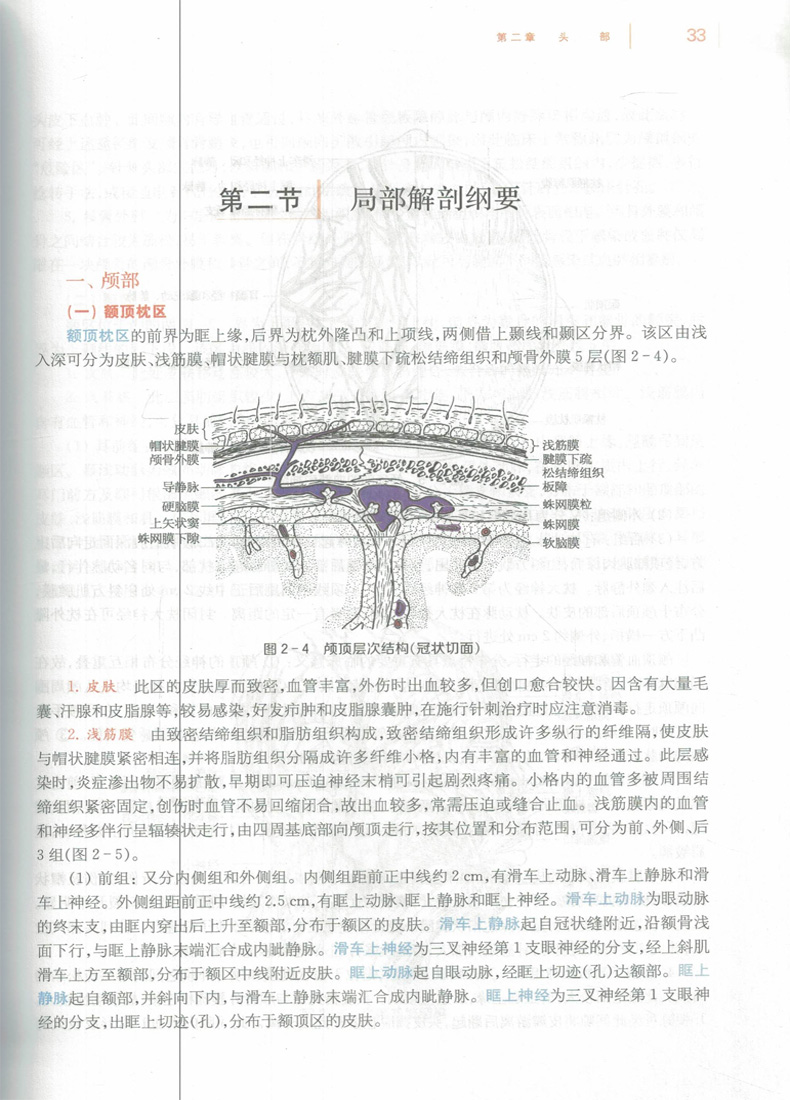 现货 腧穴解剖学 第2版(本科/十三五/供中医学/中西医临床医学/针灸推拿学等专业用)上海科学技术出版社 - 图2