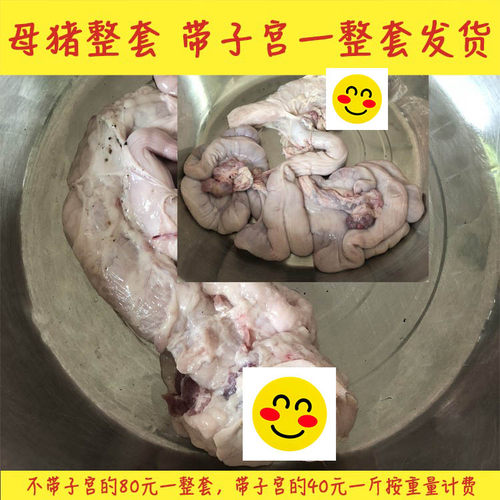 【医学实验标本 猪卵巢猪阴户 猪欢喜 】 母猪外阴生殖器 猪阴道 - 图2
