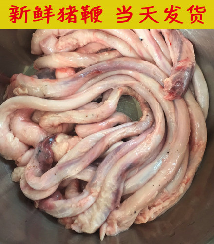 【生鲜猪鞭 2斤装】散养新鲜猪鞭 农家猪鞭 现杀拒绝冰冻生鲜猪卵 - 图2