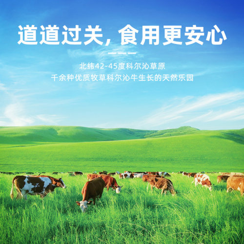 科尔沁牛肉馅4斤原切免洗炒菜饺子汉堡饼生鲜清真食材 - 图3