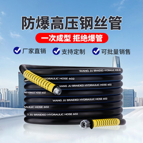 洗车机高压水枪水管防爆清洗机专用出水管380/55商用耐冻钢丝管子 - 图0