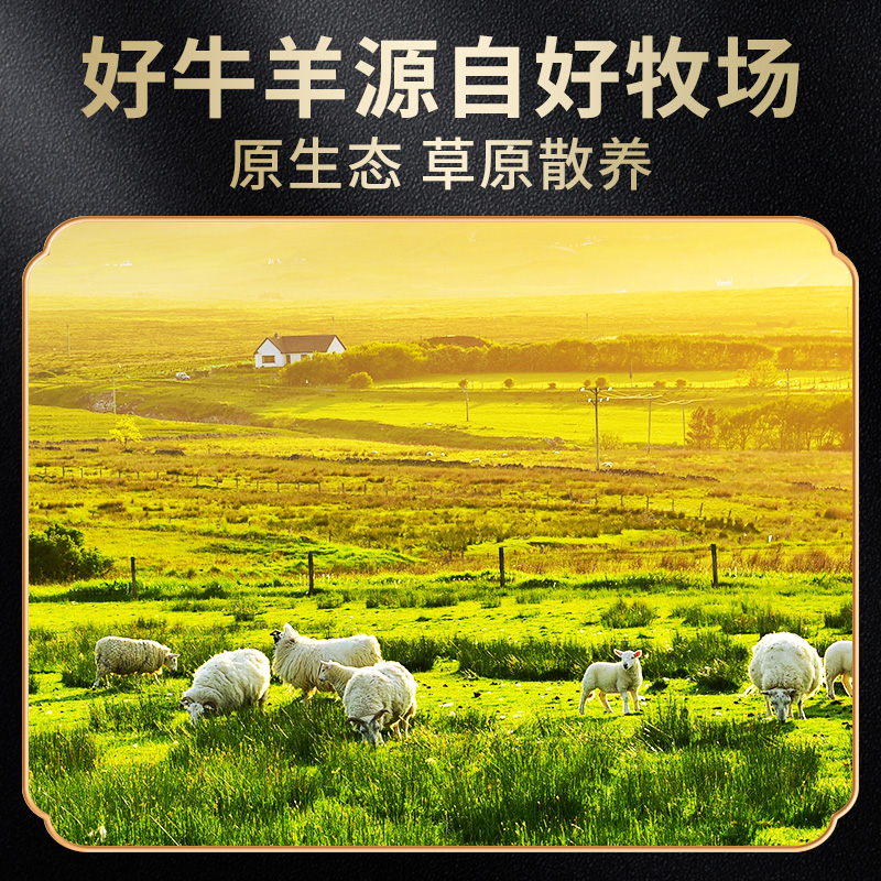 新鲜现杀内蒙古5斤手把肉滩羊羊排 胖舅舅生羊肉