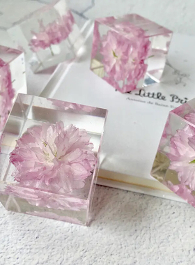 樱花标本永生花植物摆件创意文艺520礼物送七夕纪念品