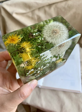 【蒲公英绿色】永生花干花摆件送女友闺蜜生日情人节礼物 8x8x4cm
