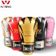 Jiurishan boxing gloves for adults, boys and children training