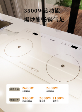 艾美澳嵌入式单灶电磁炉家用双灶
