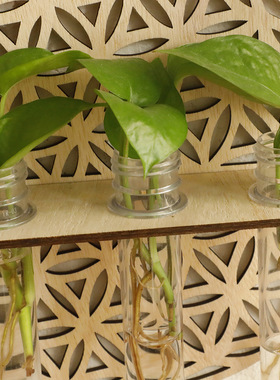 跨境新品圆形镂空植物实木置物架悬挂式木架试管简约家居卧室装饰