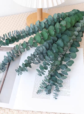 尤加利叶永生花干花仿真花假花摆设客厅餐桌装饰花束