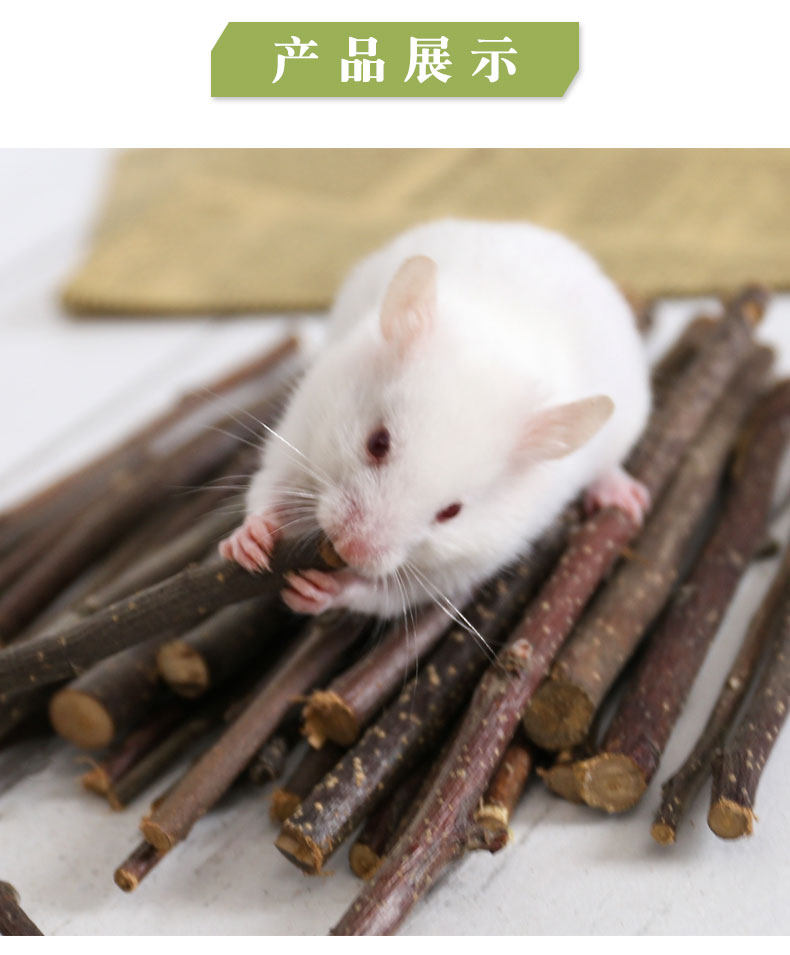 苹果枝仓鼠零食磨牙棒金丝熊咬木荷兰猪龙猫豚鼠兔子宠物造景用品,淘宝优惠券,粉丝福利购,淘宝优惠卷