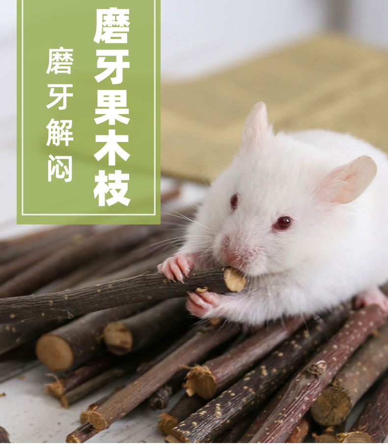 苹果枝仓鼠零食磨牙棒金丝熊咬木荷兰猪龙猫豚鼠兔子宠物造景用品,淘宝优惠券,粉丝福利购,淘宝优惠卷