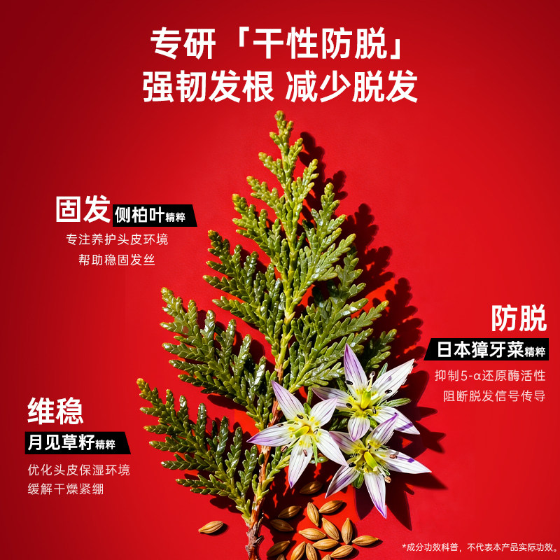 原装进口Cabelo卡蓓诺损伤烫染修护防脱发洗发水精华液洗发露