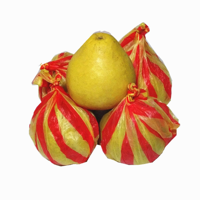 Anjiang Bingtang Pomelo Xuefeng Pomelo Golden Lan Pomelo Crisp Sweet Bitter Pomelo