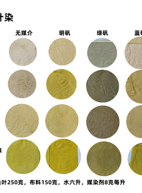 草木染植物染桑叶桑葚