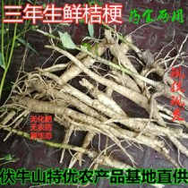 New production of Balloon Flower Three Years Fresh Balloon Flower Original Eco-Balloon Flower Chinese Herbal Medicine Chinese Herbal Medicine Dog Treasure Pickle Dry Sauerkraut