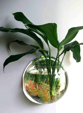 水培花器鱼缸花瓶壁饰