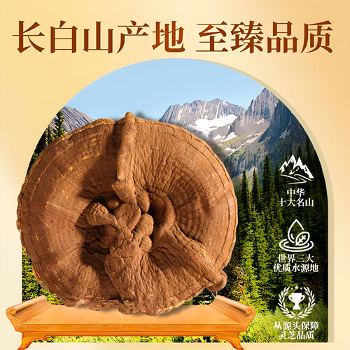 长白山野生灵芝片 500g切片正品紫赤灵芝孢子粉养生泡水酒整朵 - 图1