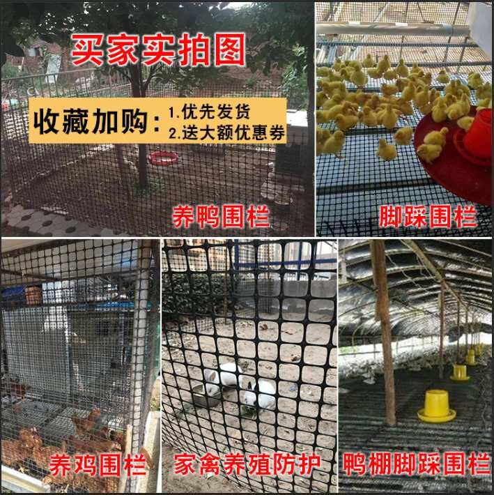 新新栅料网格养殖网塑料土工格塑养鸡家栏护栏网围用户Y外 防护销 - 图1