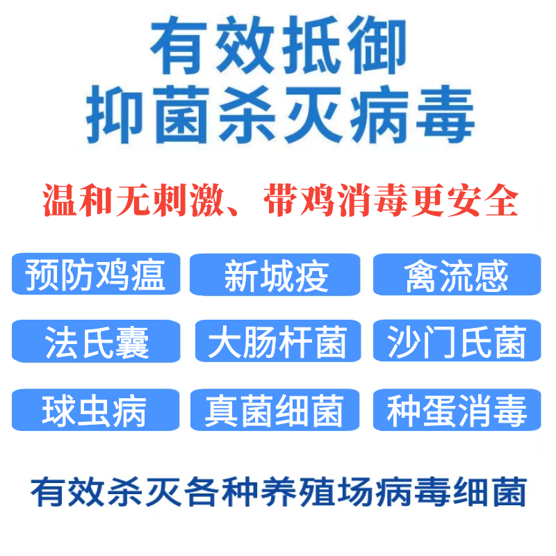 鸡舍专用消毒液养鸡场消毒水过硫酸氢钾消毒粉芦丁鸡棚鸭鹅圈杀菌 - 图1