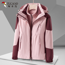 Woodpecker Boomer Tide Card Submachine Clothing Woman New Three-in-one Detachable Two-piece Set Mens Autumn Winter Windproof Waterproof Jacket