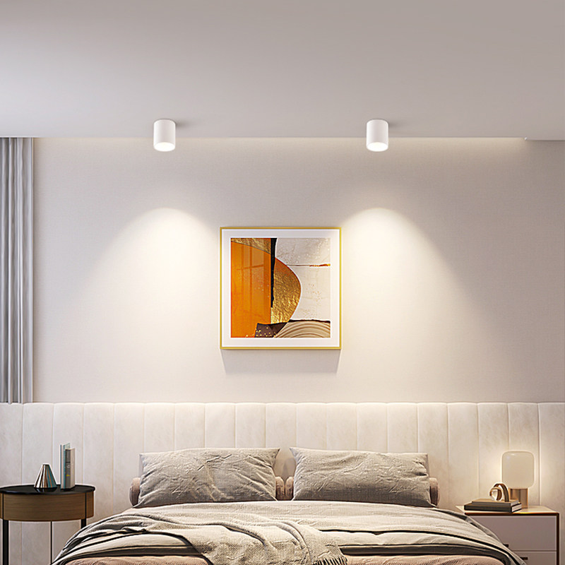 明装筒灯大圆筒深杯防眩吸顶式商场店铺涂鸦zigbee调光调色射灯,淘宝优惠券,粉丝福利购,淘宝优惠卷