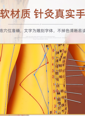 润石人体模型软质可扎针中医针灸
