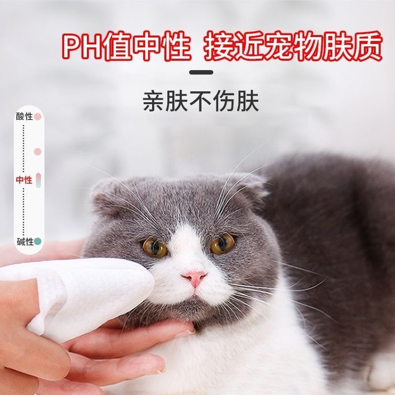 宠物清洁湿巾猫咪狗狗杀菌除味去泪痕湿纸巾擦脚屁股耳朵下巴免洗 - 图2