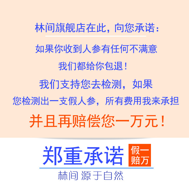 林间野山参长白山东北干货干人参 林间人参/园参及其制品