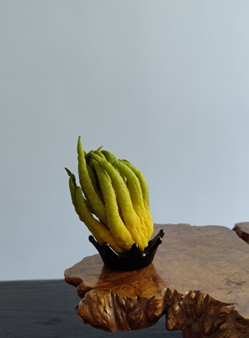 摆件佛手柑瓜果的托盘子专用陶瓷花瓶器皿桌面观赏清供高颜值创意