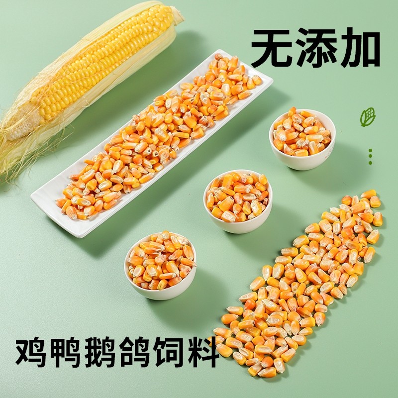 东北大粒玉米干玉米喂鸡鸭鹅鸽子饲料原料,淘宝优惠券,粉丝福利购,淘宝优惠卷