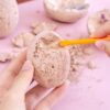 Dinosaur Fossil Egg Kindergarten Primary School Student Prize Parent-child