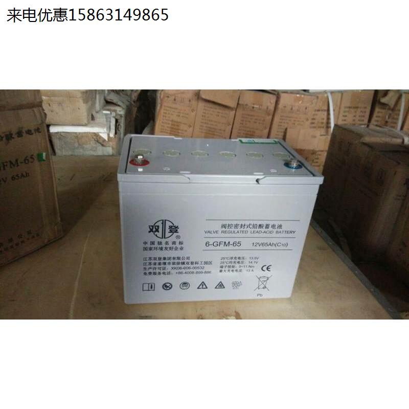 双登蓄电池12V65Ah双登6GFM65ah计算机系统UPS电力通讯EPS直流屏 - 图2