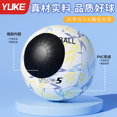 排球中考学生专用考试专用初中小学生正品标准软式硬排比赛训练 - 图2
