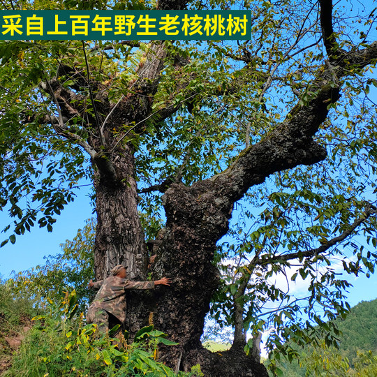 25年新货云南漾濞野生老树甜核桃高山紫米黑桃薄紫皮孕妇坚果5斤