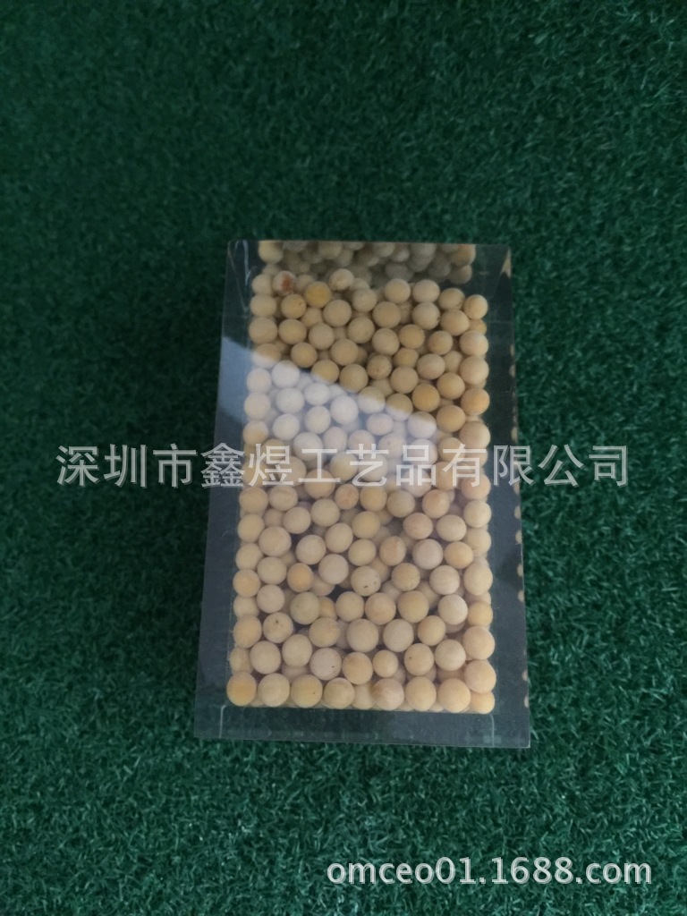 亚克力内埋黄豆种子展示品，水晶胶内藏黄豆植物，内嵌 - 图1