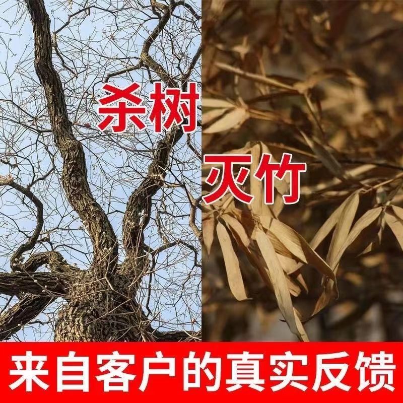 环嗪酮哃酮强力除草剂灌木竹子专用长草杂草树木撒施颗粒烂根粉剂 - 图3